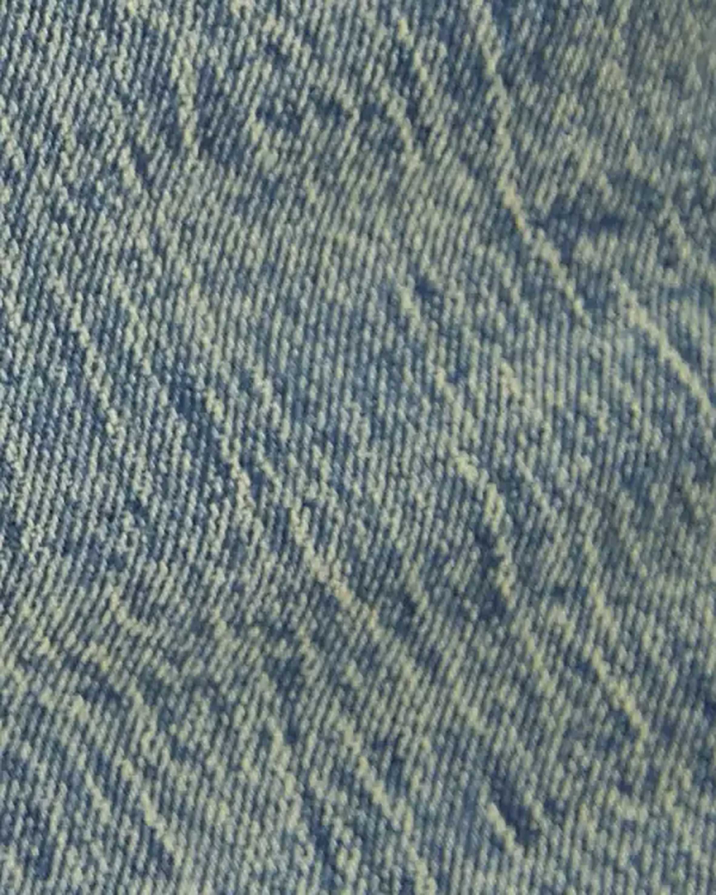 شلوار جین اسلیم فیت مردانه کوتون Koton کد 5WAM40036ND