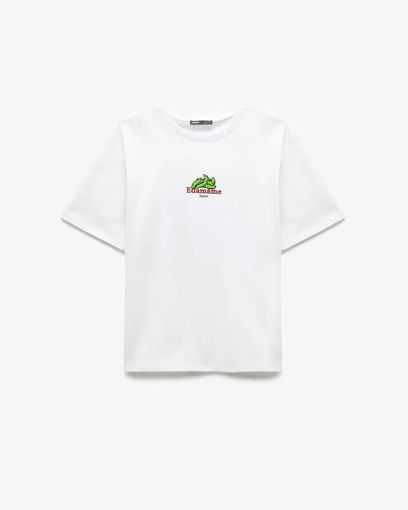 تی شرت طرح دار مردانه کوتون Koton کد 5SAM10134HK