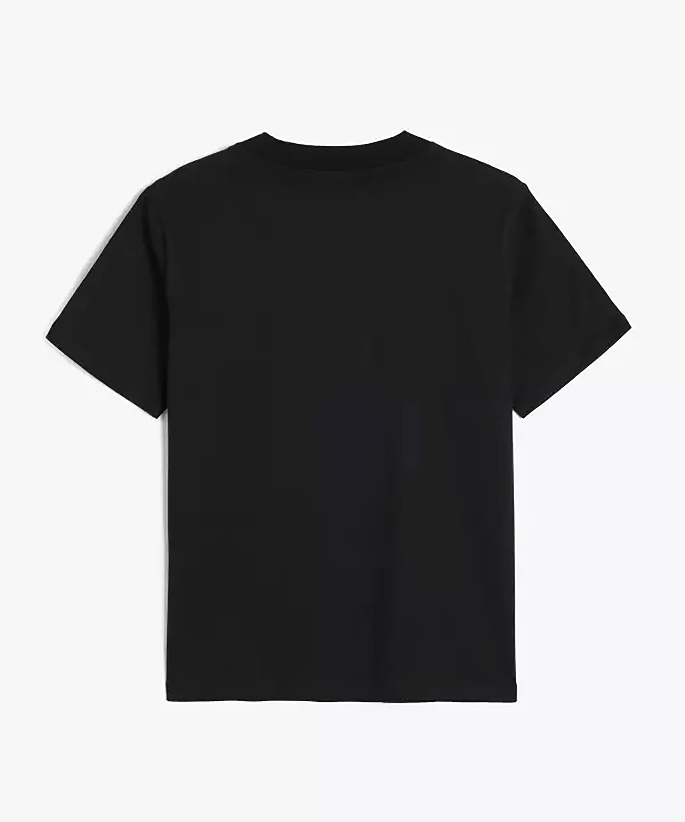 تی شرت آستین کوتاه  مردانه  کوتون Koton کد 5SAM10028HK